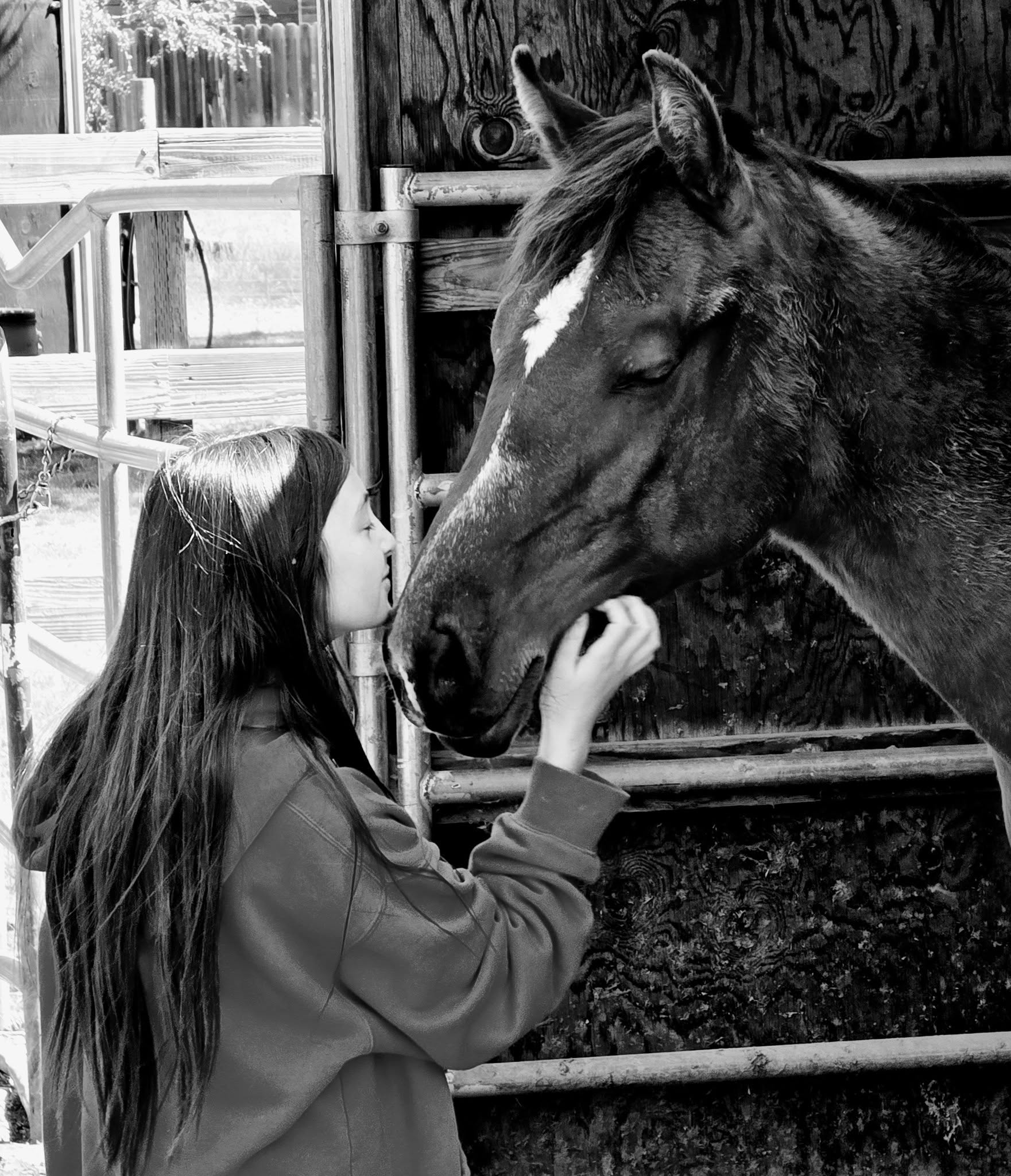 Child connecting with horse